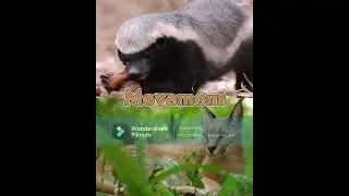 Post a burning edits for straight 10 days (Day 4)