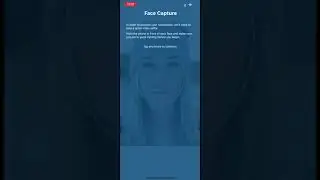 США открыли границы. Инструкция CBP one. Пошаговое заполнение анкеты.