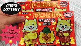 CORGI LOTTERY 