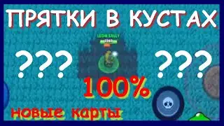 КАРТА НА 100% ИЗ КУСТОВ В БРАВЛ СТАРС ДЛЯ ИГРЫ В ПРЯТКИ