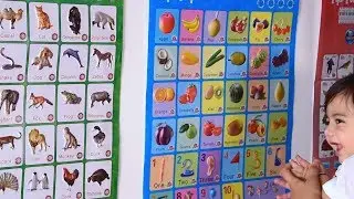 TipTap 3D Sound Wall Chart Sticker for Kids Interactive Learning & Education