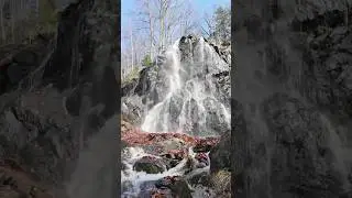 Heute hatte ich das Reel vom Radau Wasserfall geschnitten. Er ist einfach ein Anziehungsmagnet 📷