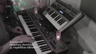 Loomeer - tinnitus electrica - 4. cupiditas silentio [ambient electronic music improvisation]
