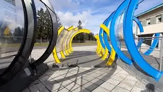 Аллея Олимпийской славы Карелии 2021