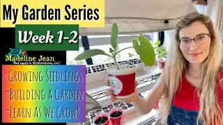 How To Create A Garden | Weeks 1-2