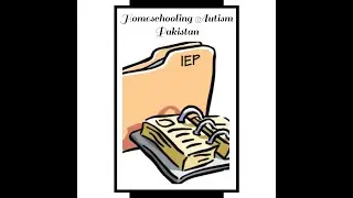 Individualized Educational Plan (IEP)
