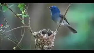 Mera Allah Bara hai !
