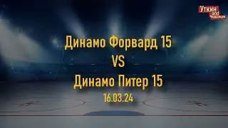 Динамо Форвард 15 - Динамо Питер 15 , 16.03.24