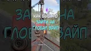 HOW TO QUICKLY ENTER THE GLOBAL WIPE IN RUST / RUST 