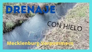 Dren congelado
