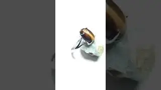 Bague argent, Œil de tigre de 5 ct