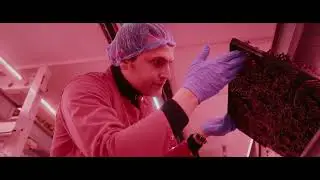 Alan Turing Institute | Brand Impact Film