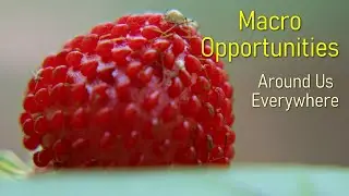 Macro Opportunities - Around Us Everywhere