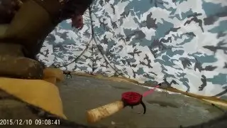 Рыбалка на Сурском