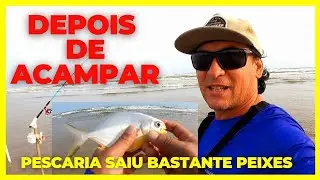 DEPOIS DE ACAMPAR🏕PEGUEI MUITOS PEIXES NA PRAIA SURPREENDEU 😍🐟#pescacamping