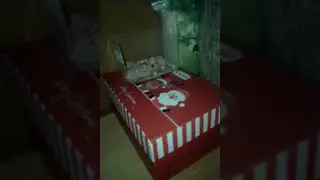 Обзор вещей моих животных
