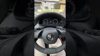 ШКОДА РАПИД ИЛИ КИТАЙЦЫ?  