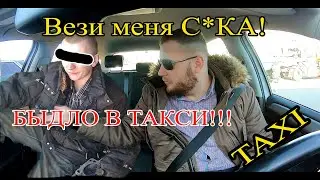 Быдло пассажир Такси Разбил лобовое водителю!