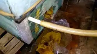 паровая воскотопка  своими руками