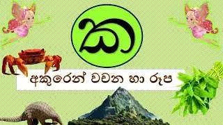 ක අකුරෙන් වචන   හා රූප සහිතව-#රටා මවමු#sinhala alphabet-සිංහල හෝඩිය #educationalvideo #kidsvideo