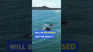 Mini 3 Pro vs Mini 3 vs Mini 2 SE - DJI Drone Comparison