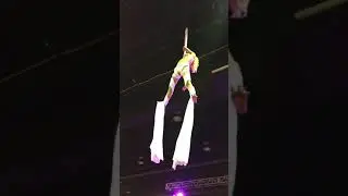 Ashley Addison, Aerialist