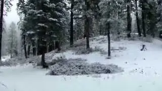 On the 2N10 road to Skyline Trail Big Bear Lake