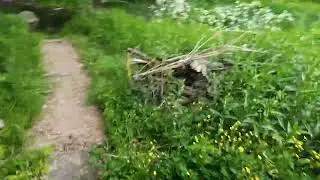 РАЗВЕДКА с Поисковым Магнитом