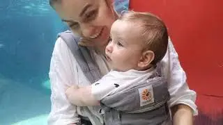Пингвинарий в зоопарке Мельбурна. Март 2019