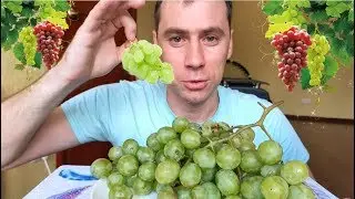 Мукбанг/1 кг винограда/клички/Mukbang/eating show/먹방