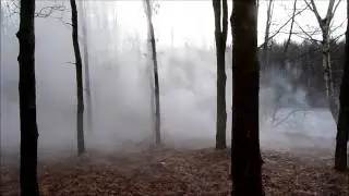 Fast Smoke