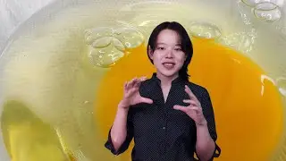 Whole Egg, Egg White and Egg Yolk, What They Do To Bread | The Science Behind Eggs in Bread