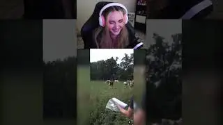 That's The Best I Can Do