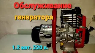 Обслуживание и обзор  бензо генератора BHG 37 TECMUSEH