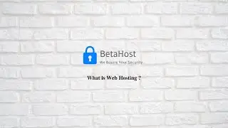 What is web hosting and how does it work?