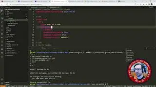 Week 10-11 - CFN For Networking Layer