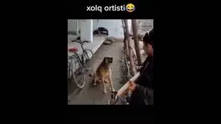 uzbekiston xalq artisligini olgan birinchi it kuylamoqda daxshat😱😱😱😱😱😱😱😱