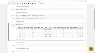 Previewing data in Python