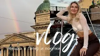 ЛИЧНЫЙ ВЛОГ | обзор покупок // поезда в Питер с семьей /// замедление YouTube