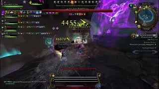 Neverwinter online - Паук мастер глазами Барда Пилигрима