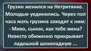Женился Грузин на Негритянке! Сборник Изумрудных Анекдотов №29