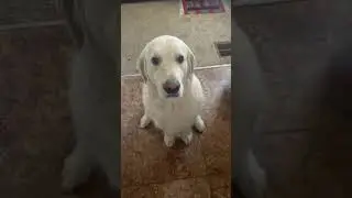 We say “Sorry” with a hug 🤗 | @wat.ki0 #viral #tiktok #fy #wat.ki0