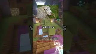 Facts You Didn’t Know