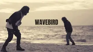 Nick Eyra - Wavebird (Official Music Video) [Copyright Free]