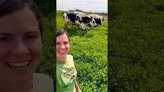 Grass-tastic Spring romp! | Organic Valley #happycows