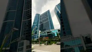 Прогулка по #batumi #georgia #travel #прогулкассобакой #beach #ретривер #shorts