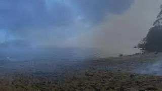 Fog