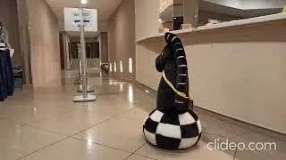 European Women’s Chess Championship | Horse Wars
