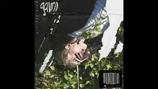 Hit The Dirt- gavn      Slowed + Reverbed