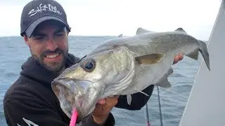 SO MANY FISH!! Epic Reef & Wreck Fishing with Lures!!